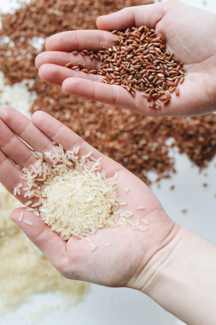 close up photo of rice on person s hand