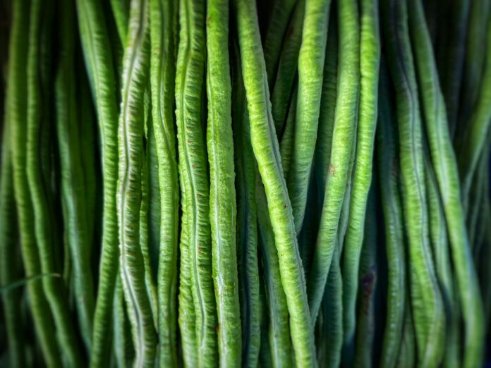 close up of a bunch of asparagus beans