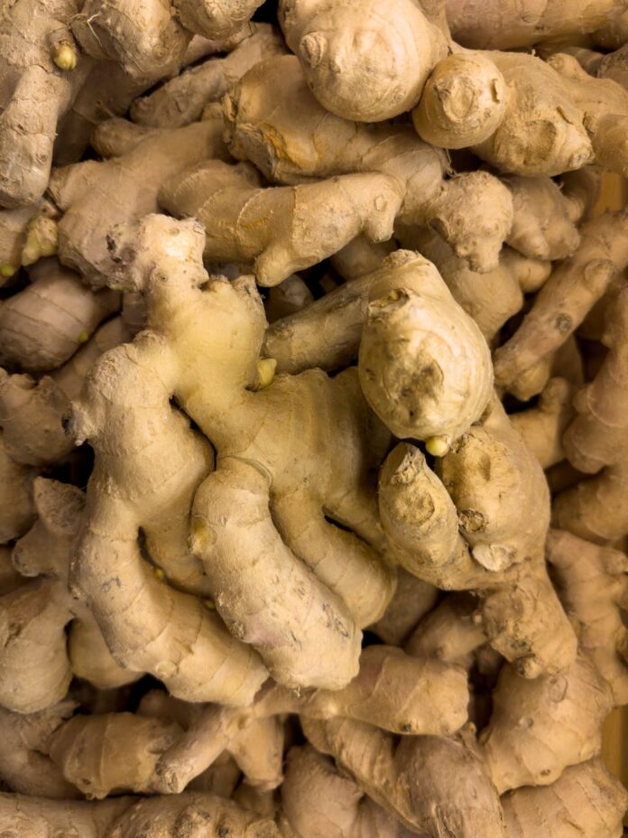 fresh organic ginger root texture background