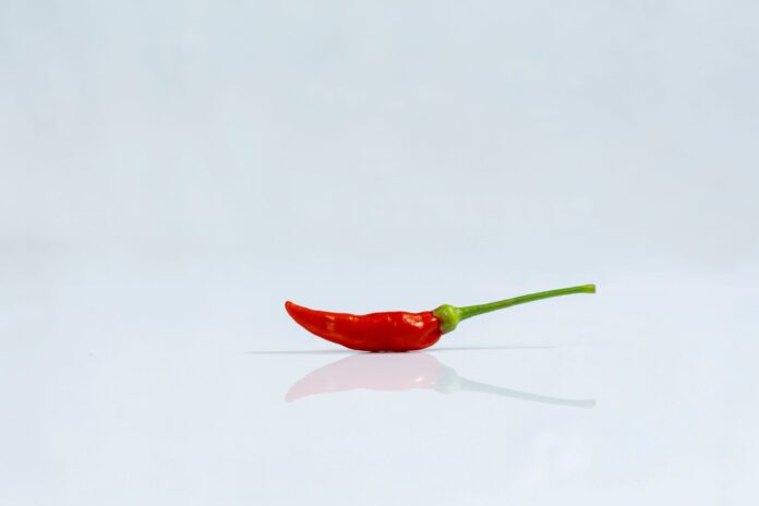 single chili pepper