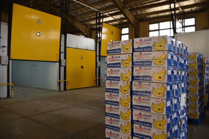 banana ripening facility in isfahan with boxes